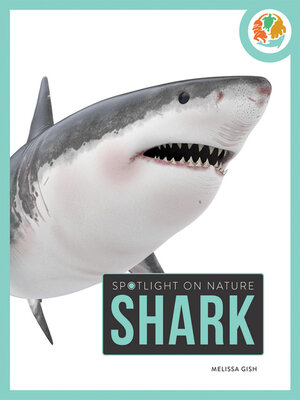 cover image of Shark